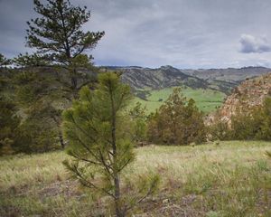 View looking across a wide landscape with green grass, short trees, and hills and mountains in the distance.