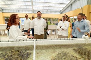 People tour the facilities at the Center for Marine Innovation which include tanks for reproducing and propagating corals.