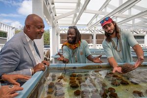 Three men stand at a tank that houses coral, one looks on in awe, one holds up a coral, and one enthusiastically explains what they are seeing.