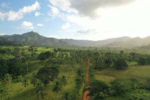 A green tree covered grassy landscape leading up to mountains that has one dirt road passing through it.