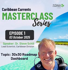 A flyer for episode 1 of the Caribbean Currents Masterclass.