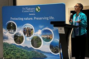 Donna Blake, TNC Jamaica program director, stands at a podium and speaks to stakeholders at a hurricane damage assessment workshop.