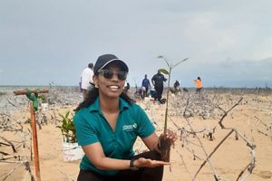 A conservation practitioner squats down and holds a mangrove sapling in a sandy beach with volunteers in the background.