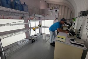A man stands over a microscope in a research facility.