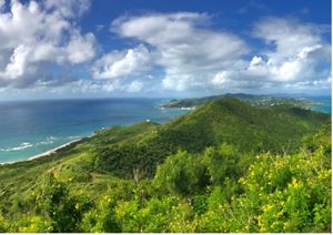 A hilltop view looking out at a forest covered peninsula surrounded by clear Caribbean waters.
