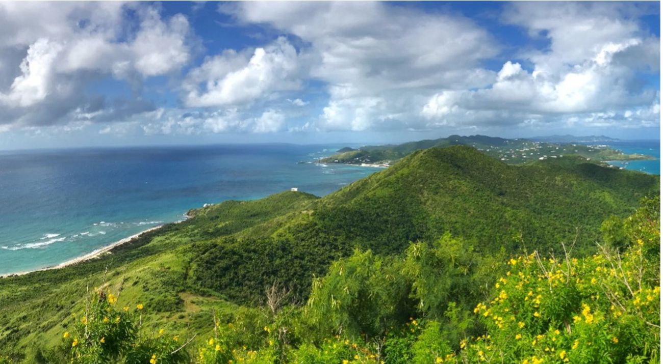 A hilltop view looking out at a forest covered peninsula surrounded by clear Caribbean waters.