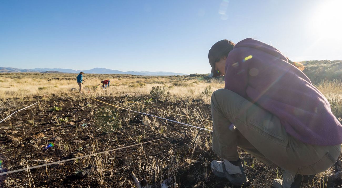 A person crouches near the ground and measures an area to build a seed plot in a vast land area.