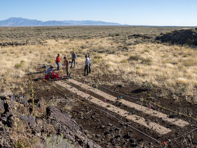 Aerial view of six people standing in a dry, scrubby landscape next to seed plots.