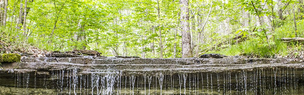 Nature Conservancy