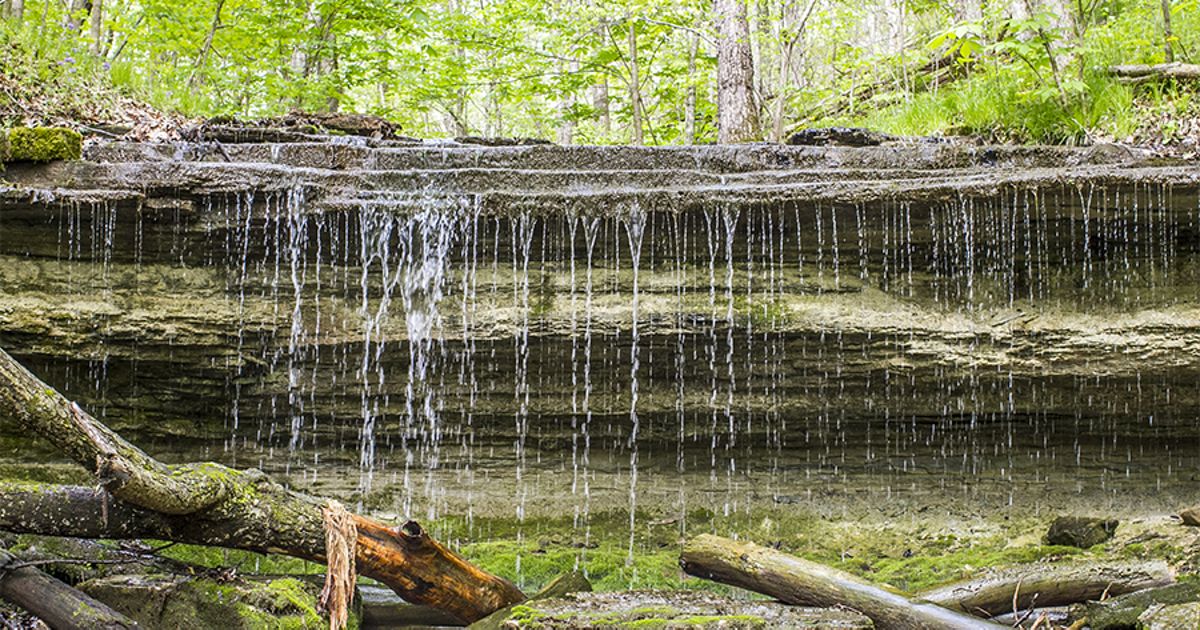 Nature Conservancy