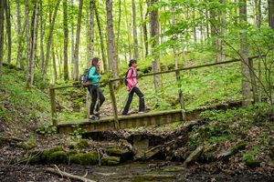 Two women walk over a wooden footbridge on a nature trail that goes through a forest in the Kentucky River Palisades region at Crutcher Nature Preserve.