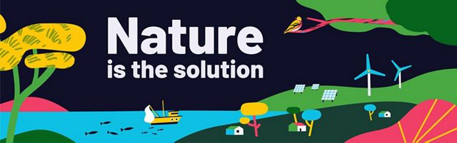 Graphic with rolling green hills with homes and renewable energy infrastructure next to a body of bright blue water with a fishing boat and fish. Trees frame the sides with a bird on a branch.