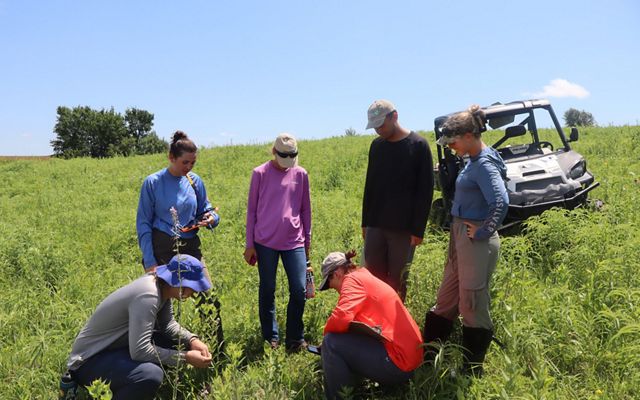 Intern Field Day