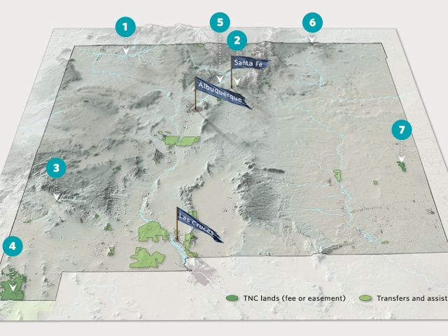 A map of New Mexico with blue plot points.