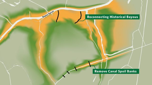 Map of bayou restoration in the Atchafalaya River Basin.