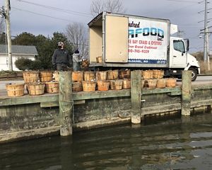 Two men unload bushel baskets full of oysters from a delivery truck onto a boat slip.