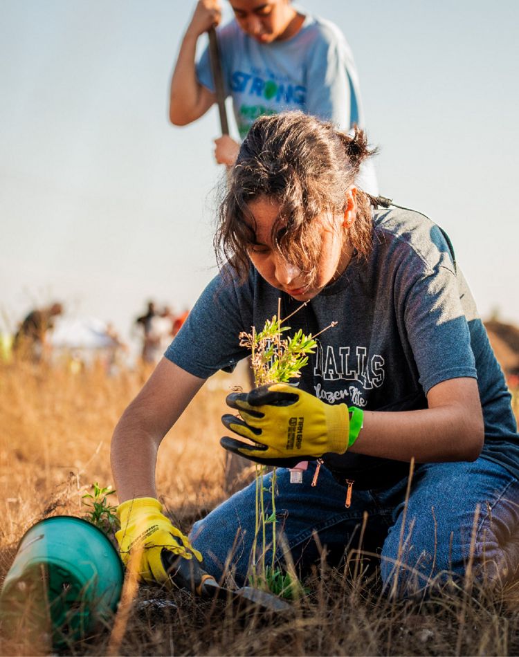 A woman uses a spade to dig a hole to plant a plant.