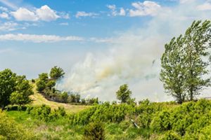 Smoke from a prescribed fire drifts over a green field.