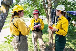 Three women dressed in yellow clothing and wearing hardhats talk to each other. in a wooded area