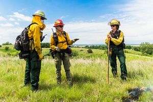 Three people dressed in yellow and wearing hardhats meet in a green, grassy field.