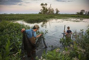 Two people setting fish traps. 