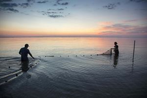 Matthew Kovach (left), the Nature Conservancy's Lake Erie Coasts and Islands Program Manager, and Alexis Sakas, TNC's Coastal Conservation Project Coordinator, set fish traps in Lake Erie off the coast of Cedar Point National Wildlife Refuge, near Toledo, Ohio. They are setting traps to assess fish population diversity and health in wetland restoration projects like Cedar Point NWR.  