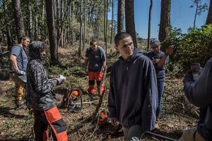Members of the Conservation Corps cut back evasive plants along the coast in Apalachicola, Florida.