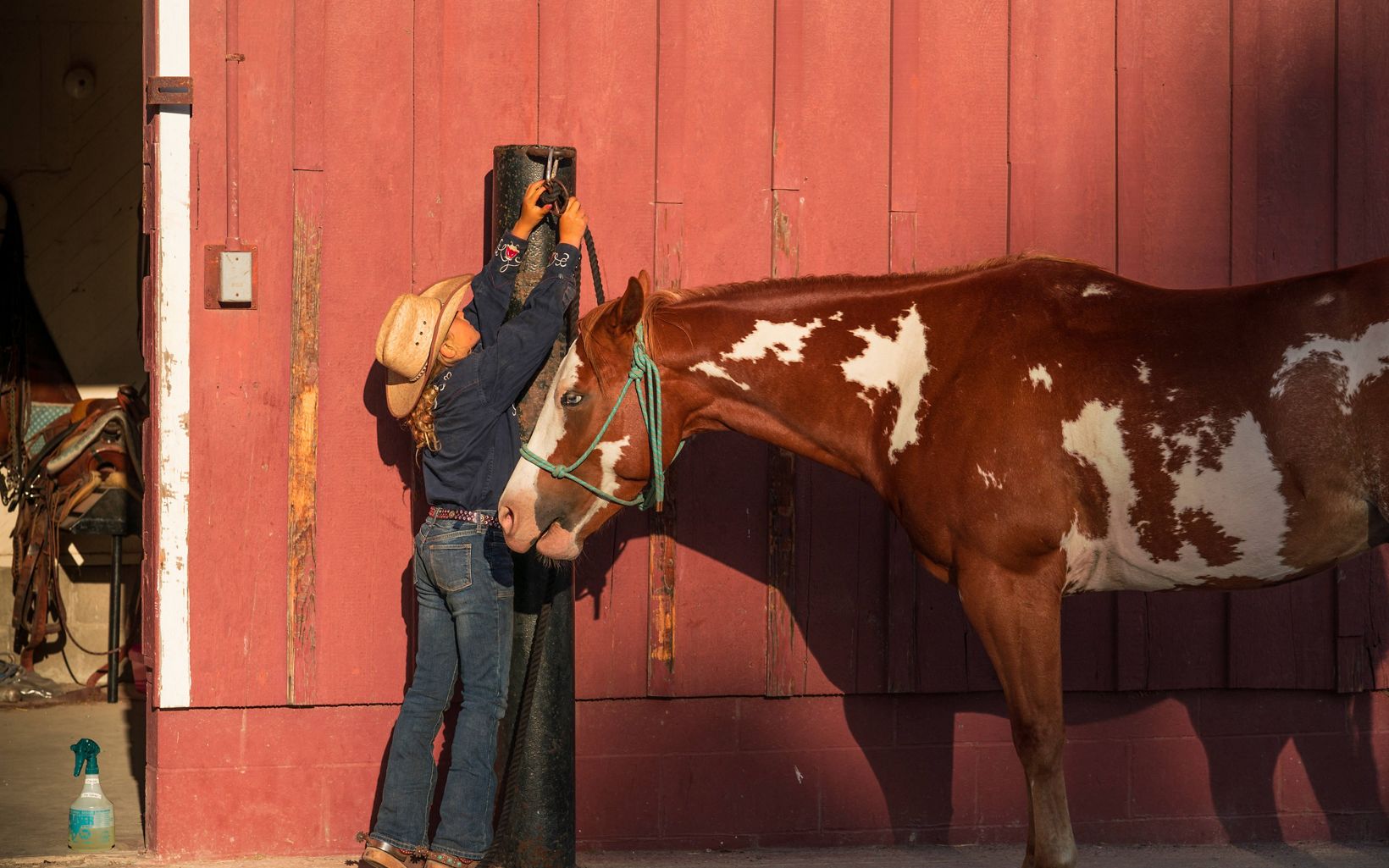 A girl in a cowboy hat ties up her horse.