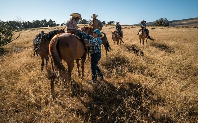 A ranch family rides horses in a grassy area