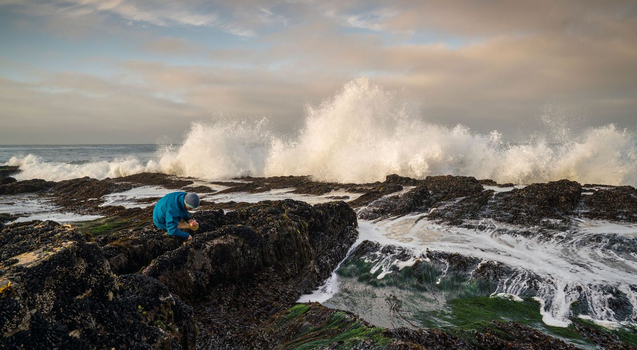 TNC's Dangermond Preserve, California. TNC Coastal Marine Ecologist Walter Heady collects samples for a photographic biodiversity survey off Government Point during one of the lowest tides of the year