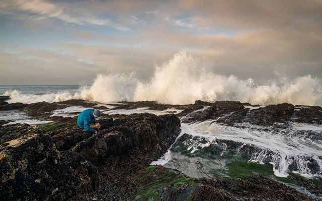 on a rocky shore with waves crashing, an ecologist collects small creatures