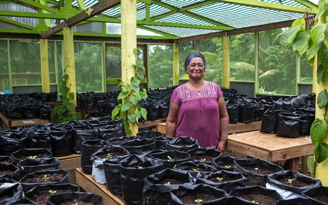 Woman stands smiling in greenhouse with plants budding around her on all sides