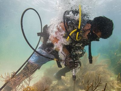 A brigade member learns to use a drill underwater during the second day of coral reef rapid-response training for natural disasters. Following a hurricane, these brigade members would use drills to secure corals to the reef to prepare for repairing reefs following hurricanes. In the Mesoamerican Barrier Reef at Puerto Morelos National Marine Park. Puerto Morelos, Mexico. June 2018.