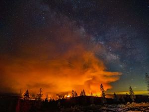 Photo of wildfire burning at night. 