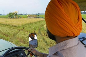 View from behind a farmer as he drives a tractor through a field. His full face can be seen in a small rear view mirror in front of him.