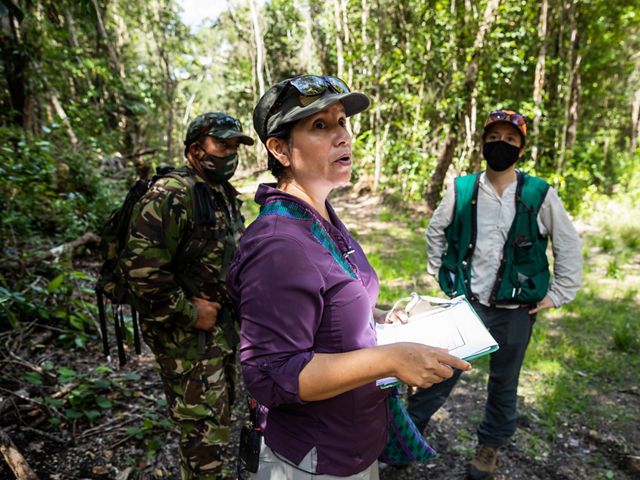 Holding notes on a clipboard, Dr. Elma Kay stands in a tropical rainforest and talks with two people.