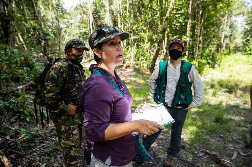 Holding notes on a clipboard, Dr. Elma Kay stands in a tropical rainforest and talks with two people.