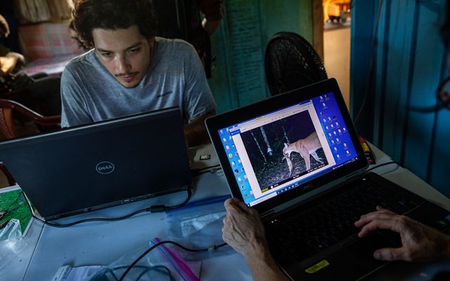 A man works at a computer and a screen shows a camera trap photo of a jaguar.