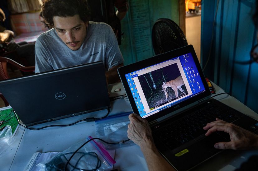 Un hombre trabaja en una computadora y una pantalla muestra una foto de cámara trampa de un jaguar.
