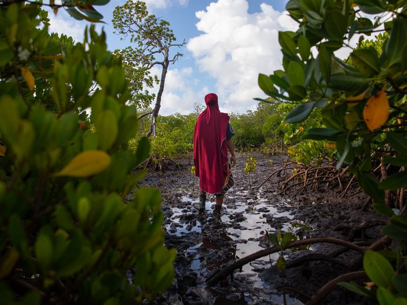 Zulfa Hassan stands in a mangrove plantation near Mtangawanda, Lamu, Kenya.