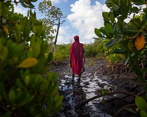 Zulfa Hassan, founder of the Mtangawanda Women’s Association, stands in the mangrove plantation that she and the group restored and manage.
