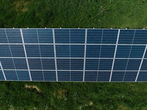 Solar panels in tight rows reflect back sunshine.