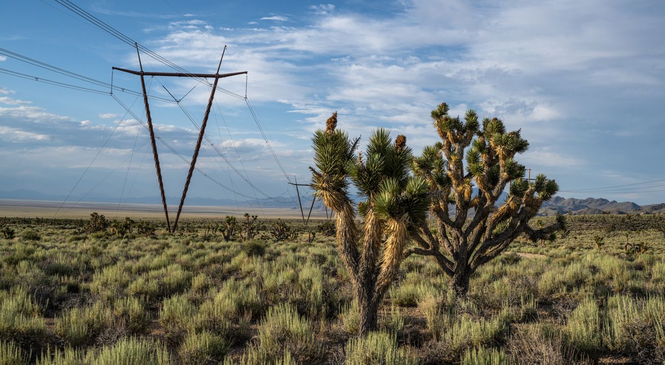 Electrical transmission lines in the desert.