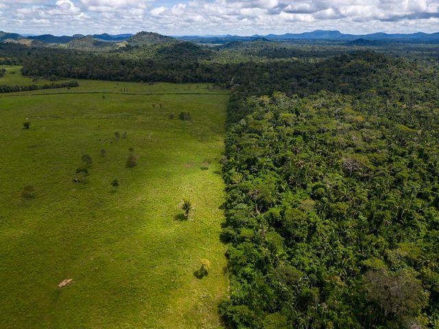 Imagem aérea de terras agrícolas à esquerda, floresta à direita.