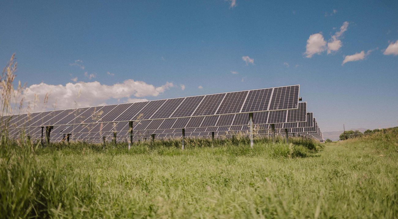 Solar panels in a field.