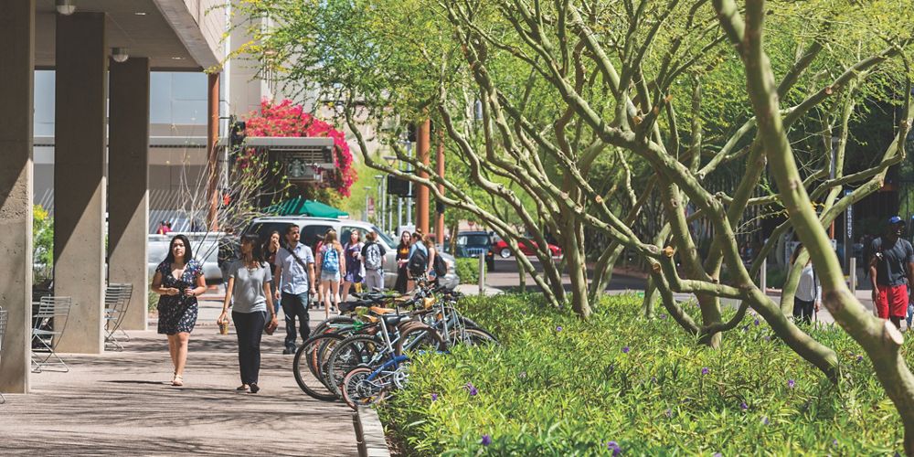 Students walk down the side walk with Palo Verde trees lining the right side.