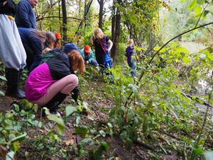 Swamp Stomp attendees and TNC staff explore nature at the Swamp White Oak Preserve
