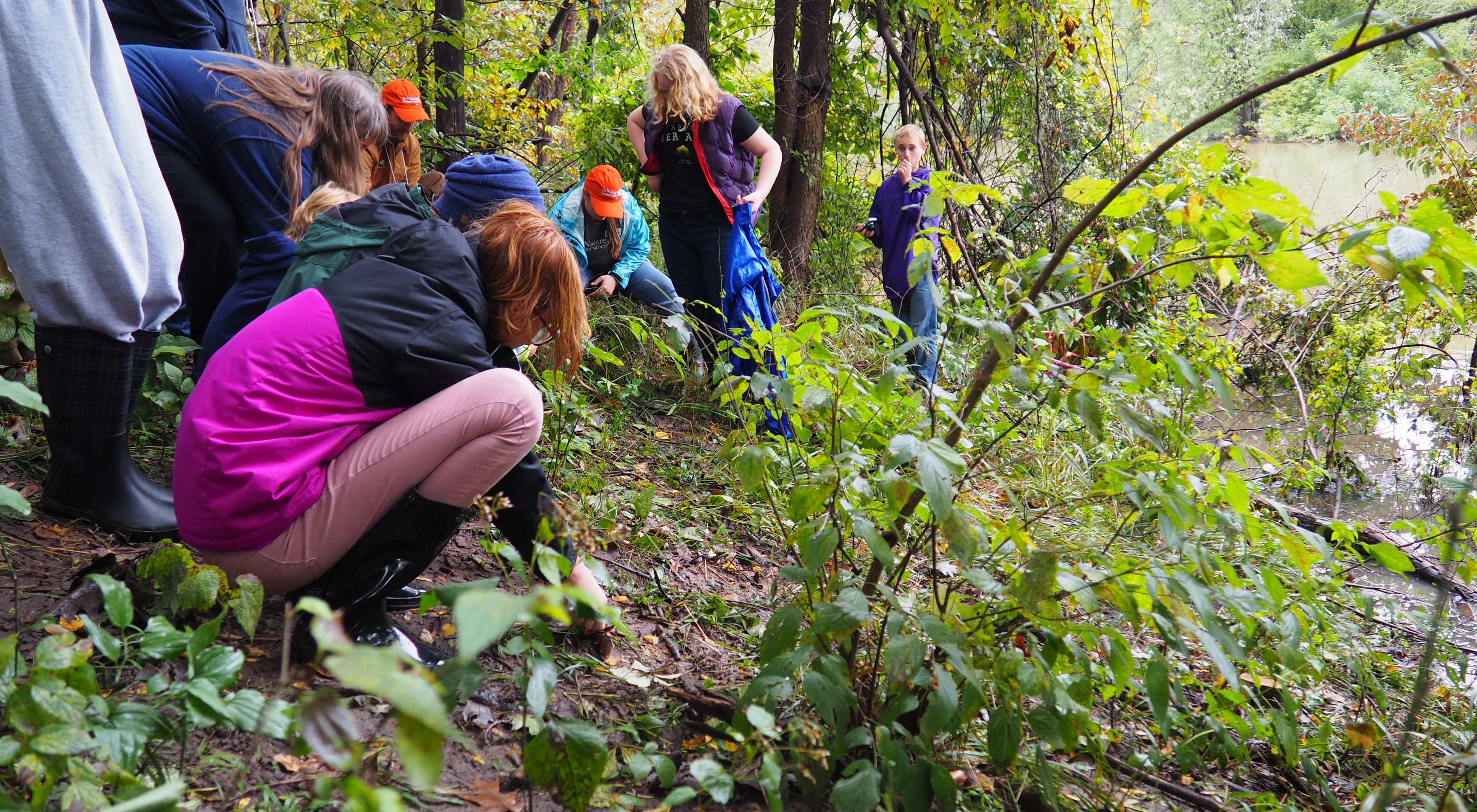 A group of event attendees gather in a group, some kneeling down, in an area of vegetation at a TNC preserve.