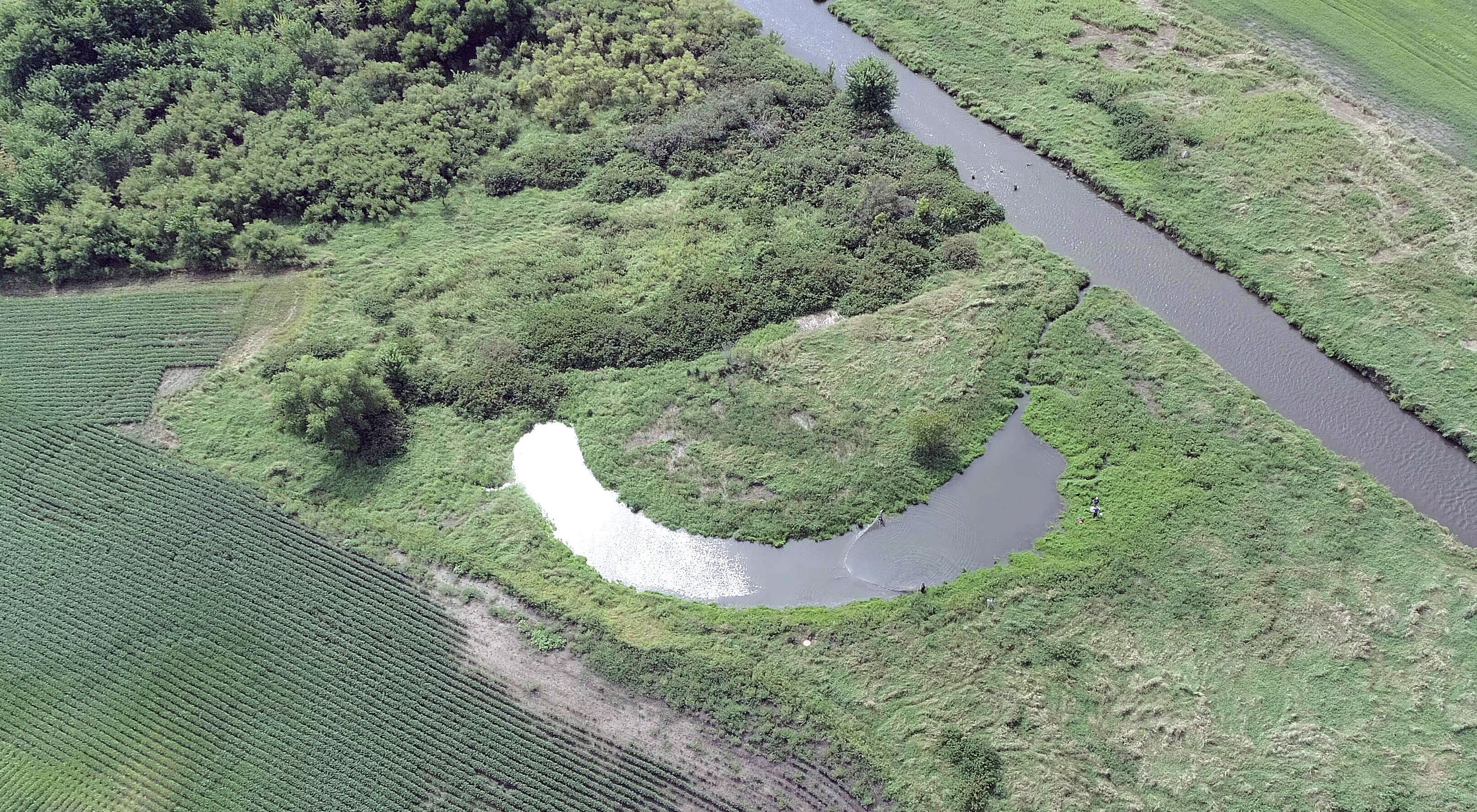 Aerial view of a comma-shaped oxbow next to the main channel of a river.