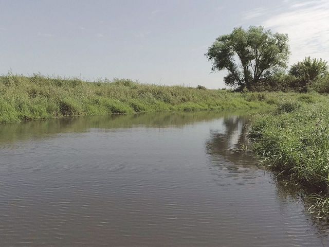 Calm water in an oxbow with grassy banks and a tree in the mid-distance.